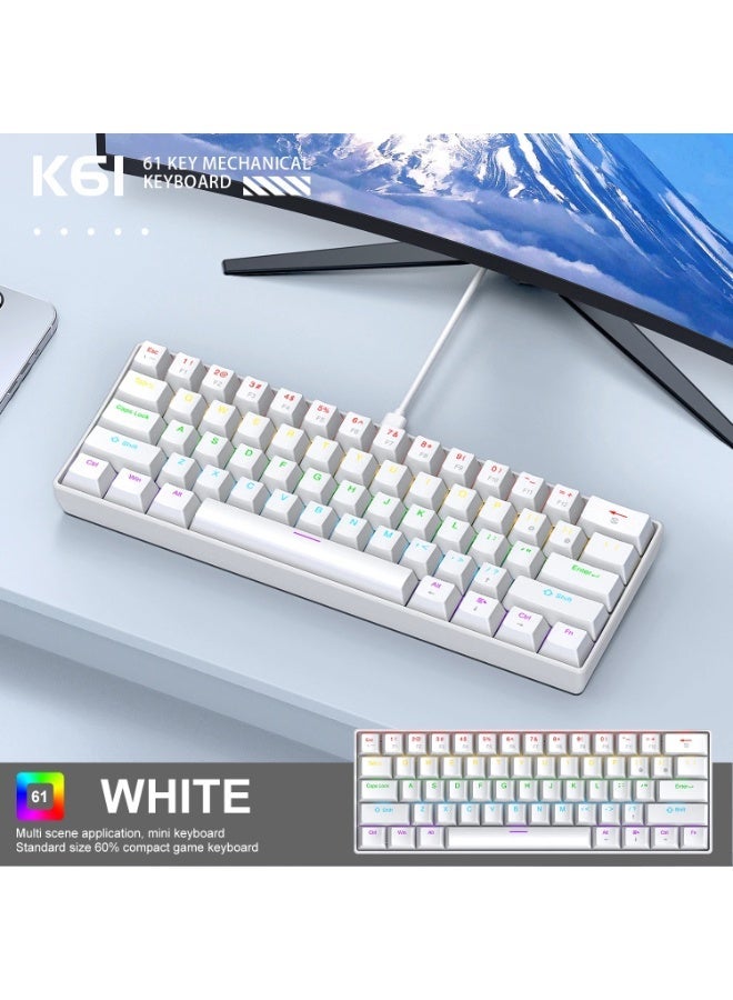 Eweadn G61 60% Gaming Mechanical Keyboard - Rainbow LED Lighting - Anti-Ghosting, Detachable USB-C, Double-Shot Keycaps, 61 Keys Ultra-Compact - Image 2