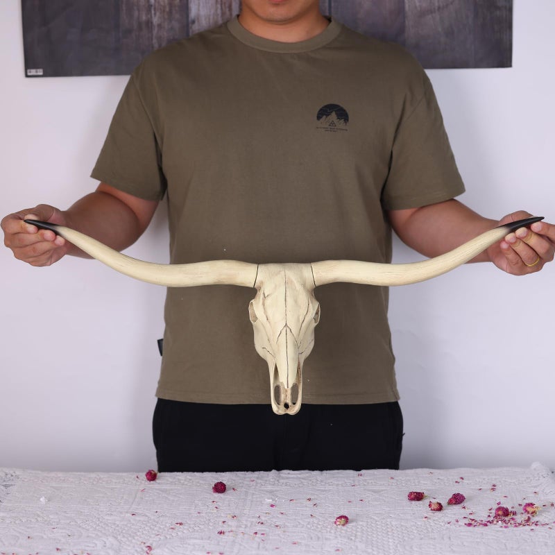 suruim Longhorn Bull Skull Wall Art, Steer Horns Head Decor for Rustic Farmhouse Style, Home & Office - Image 3