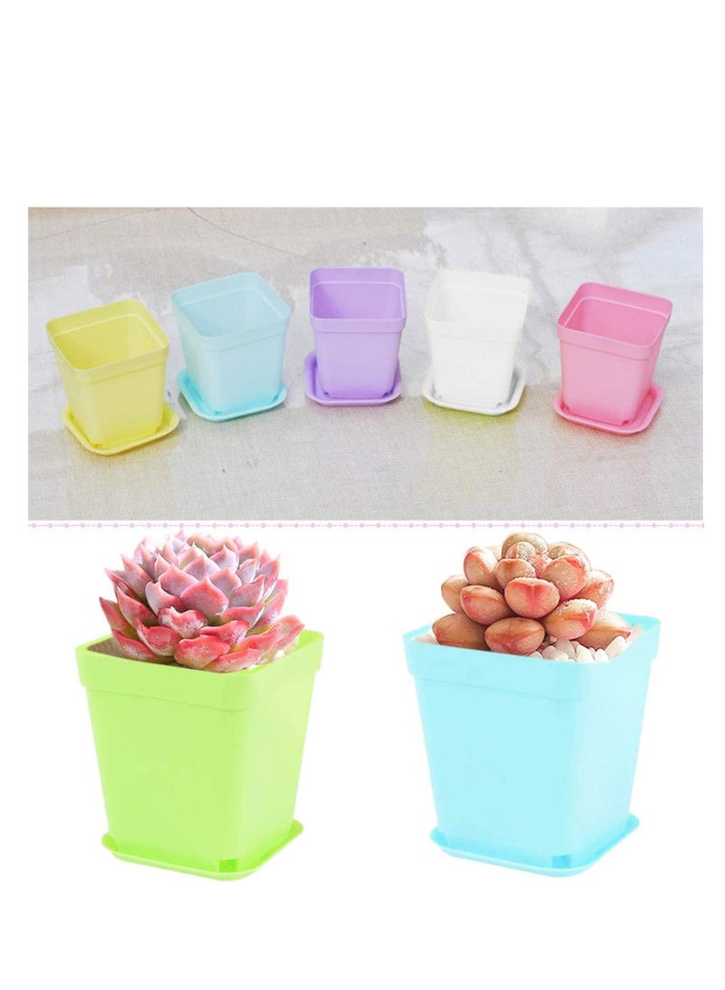 أصص نباتات بلاستيكية لشتلات المشاتل مع أطباق و 3 أدوات حديقة صغيرة حاوية نباتات عصارية للديكور في الغرفة والمكتب والشرفة متعددة الألوان 24 حبة 3 بوصة - Image 2