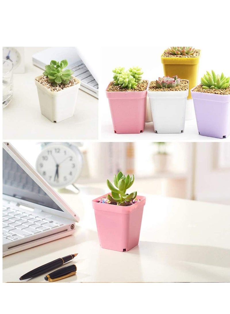 أصص نباتات بلاستيكية لشتلات المشاتل مع أطباق و 3 أدوات حديقة صغيرة حاوية نباتات عصارية للديكور في الغرفة والمكتب والشرفة متعددة الألوان 24 حبة 3 بوصة - Image 4