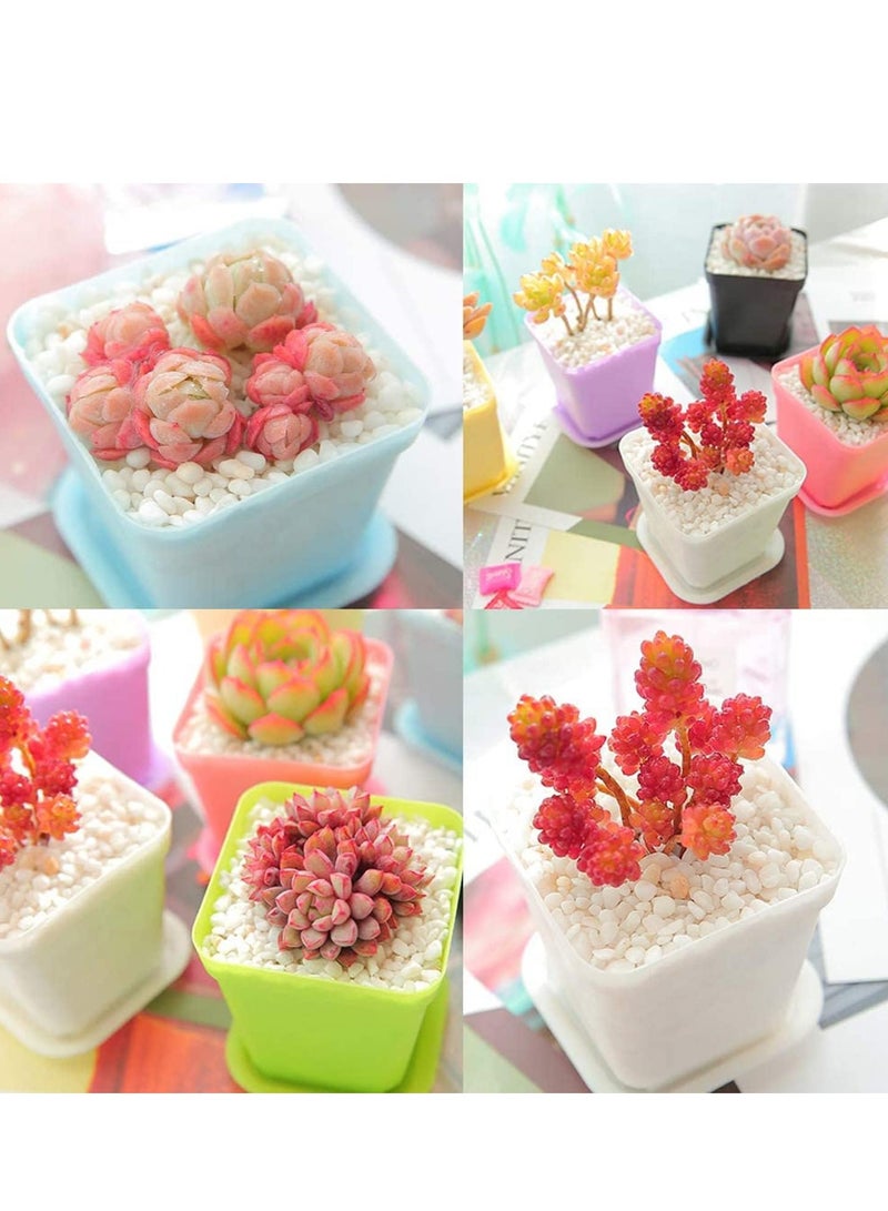 أصص نباتات بلاستيكية لشتلات المشاتل مع أطباق و 3 أدوات حديقة صغيرة حاوية نباتات عصارية للديكور في الغرفة والمكتب والشرفة متعددة الألوان 24 حبة 3 بوصة - Image 5