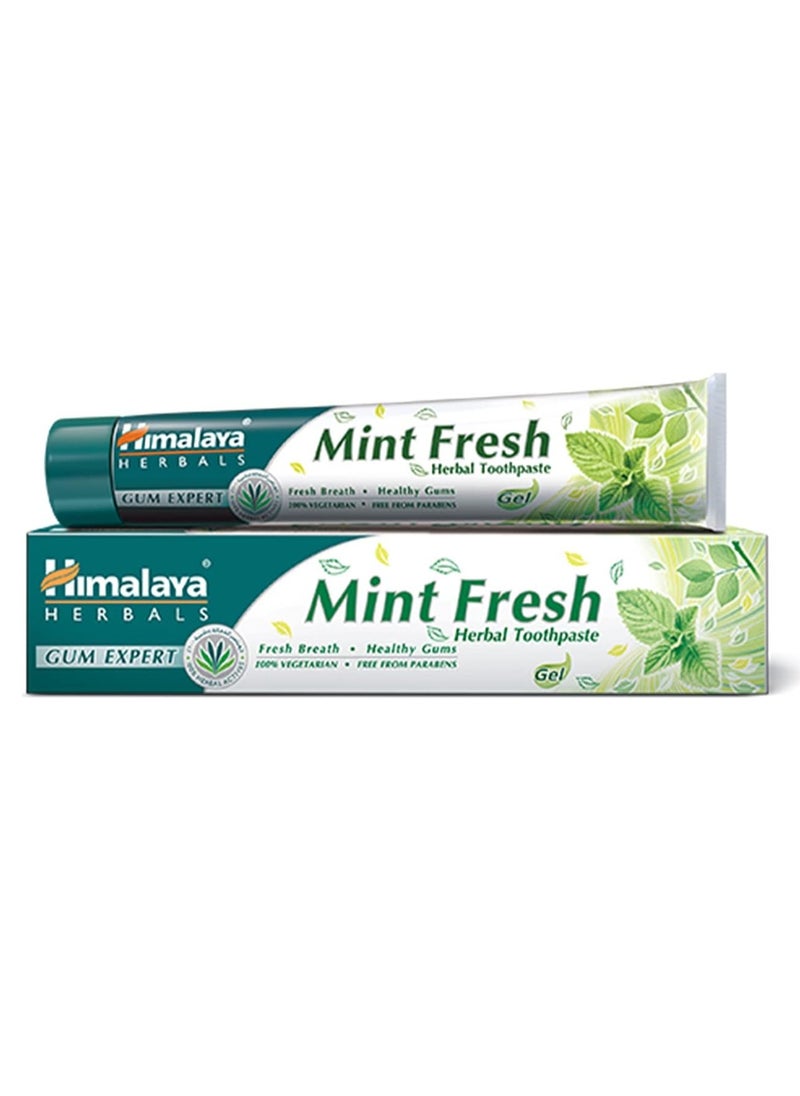 Himalaya - Himalaya Mint Fresh Herbal Toothpaste 100 ml - Image 1