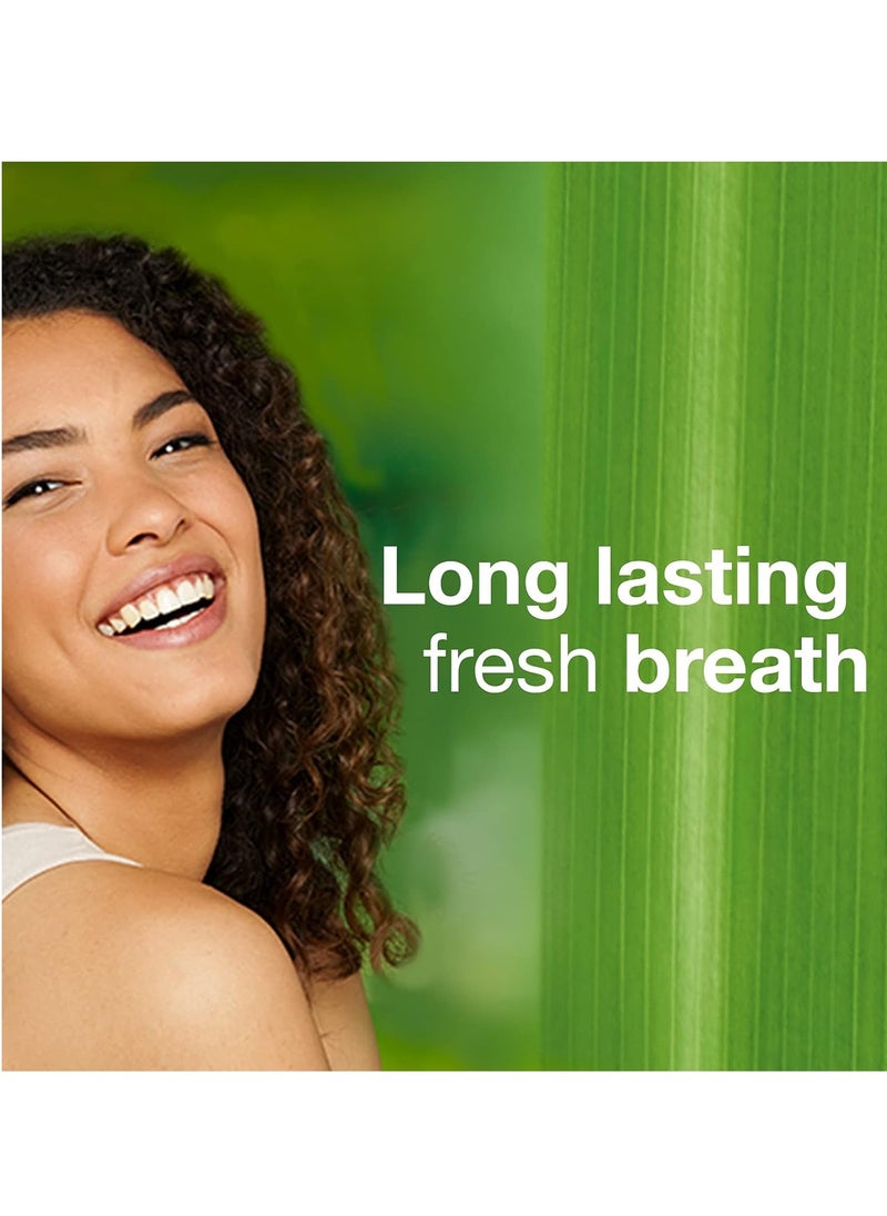Himalaya - Himalaya Mint Fresh Herbal Toothpaste 100 ml - Image 1