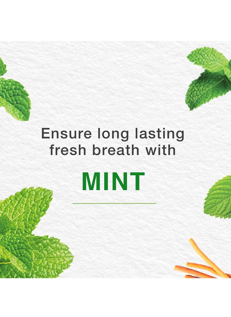 Himalaya - Himalaya Mint Fresh Herbal Toothpaste 100 ml - Image 1