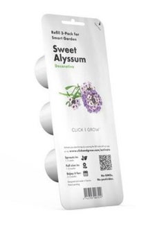 CLICK AND GROW Click  Grow Sweet Alyssum  3pack  - Image 1