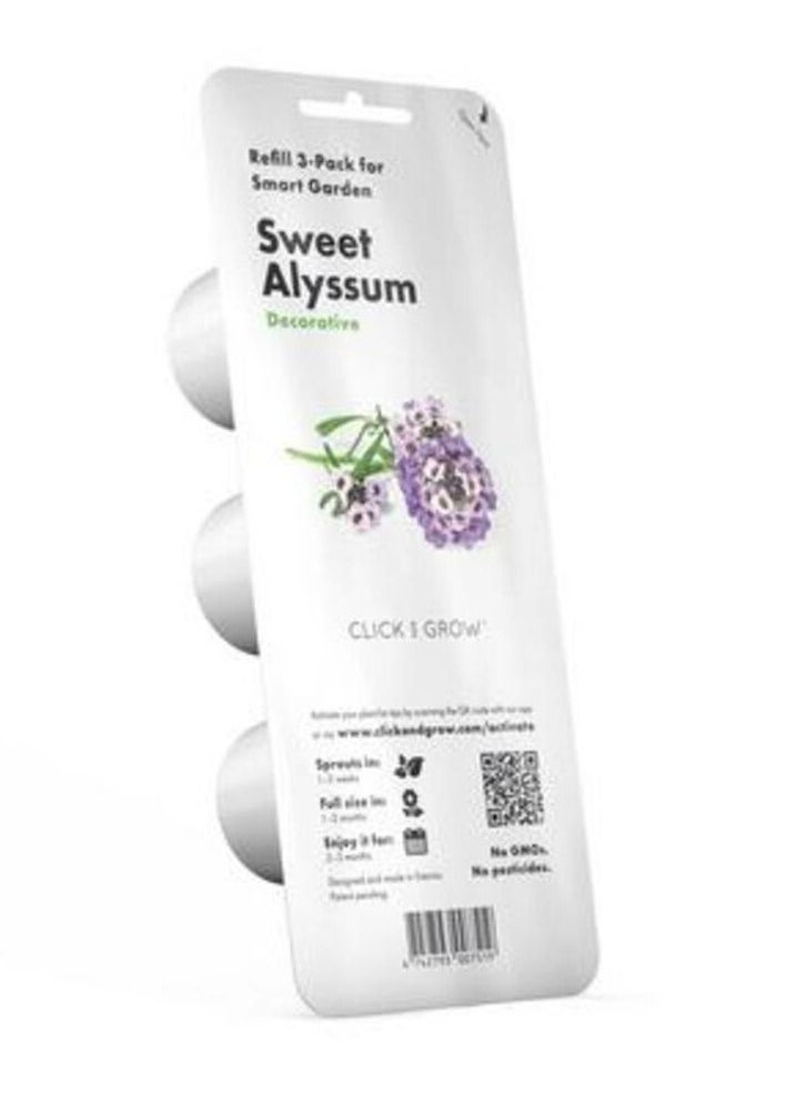CLICK AND GROW Click  Grow Sweet Alyssum  3pack  - Image 1