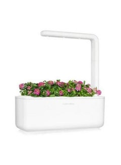 CLICK AND GROW Click  Grow Sweet Alyssum  3pack  - Image 2