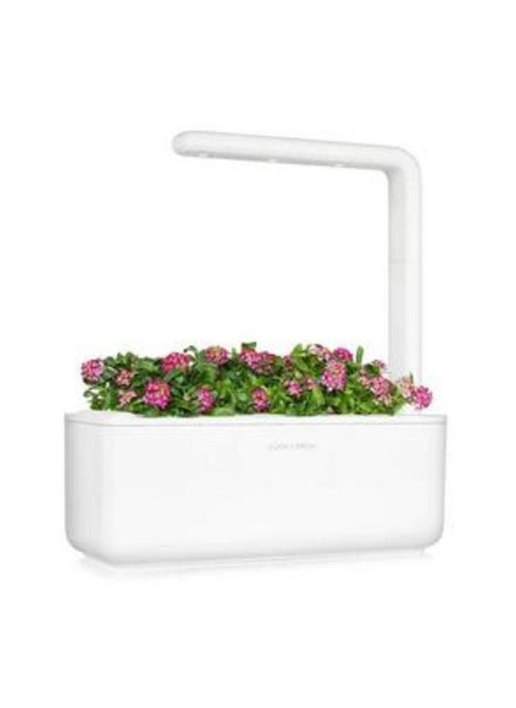 CLICK AND GROW Click  Grow Sweet Alyssum  3pack  - Image 2