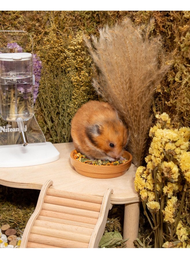 Niteangel Hamster Food & Treats Toy - Small Animal Natural Food for Syrian Golden Hamsters or Other Small-Sized Pets - Image 4