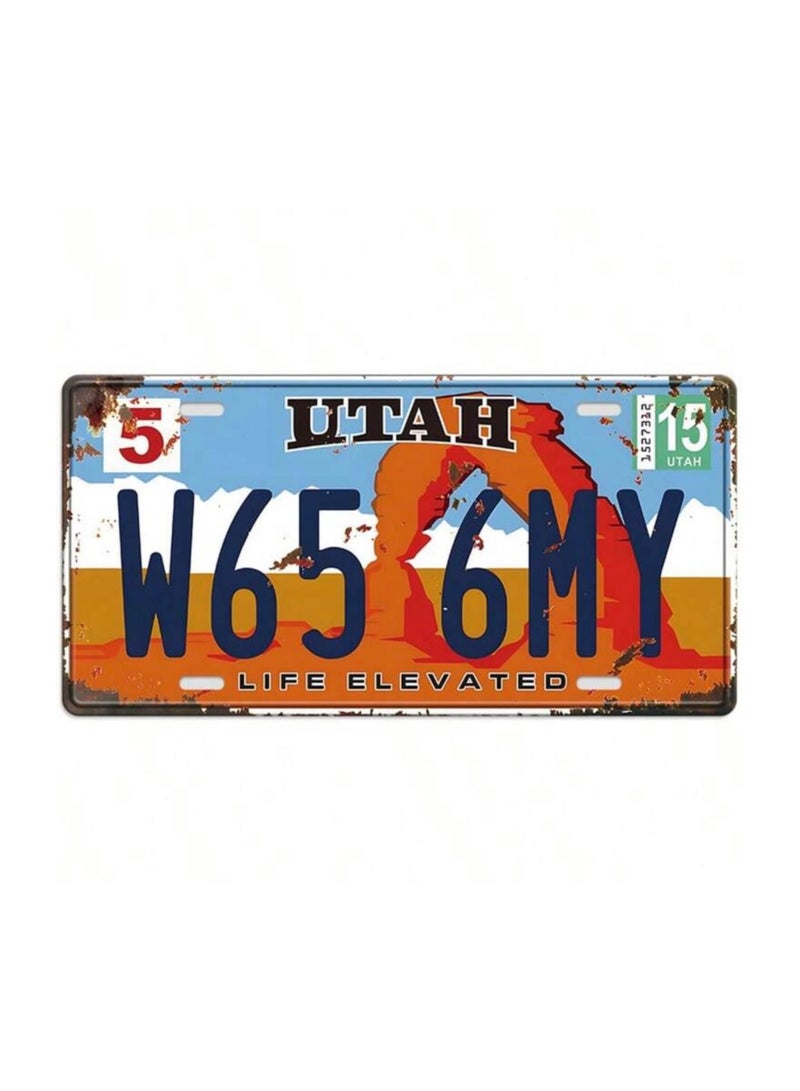 Classic design car metal license plate for decoration