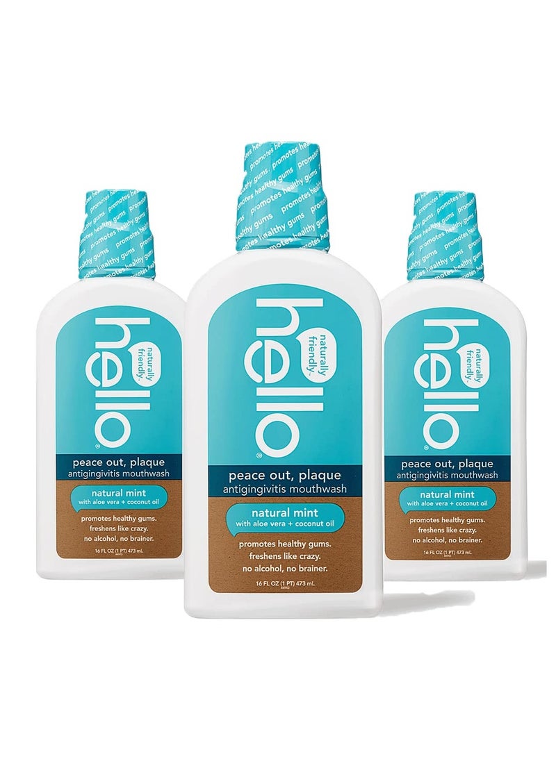 Hello Peace Out Plaque, Antigingivitis Alcohol Free Mouthwash, Natural Mint with Aloe Vera and Coconut Oil, Fluoride Free, Vegan, SLS Free and Gluten Free, 16 Ounce (Pack of 3) - pzsku/Z16B74759A3615FC0AC91Z/45/_/1716205145/64dcd2f5-cc8d-48d8-b86a-2f2ba1c8da2d