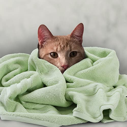 Spread Spain Cotton Towels for Bath | Towels for Bath Large Size | Miami Bath Towel - Soft & Absorbent | 650 GSM | 1 Piece Bath Towel for Men/Women | 70 cms x 140 cms - Mint - Image 4