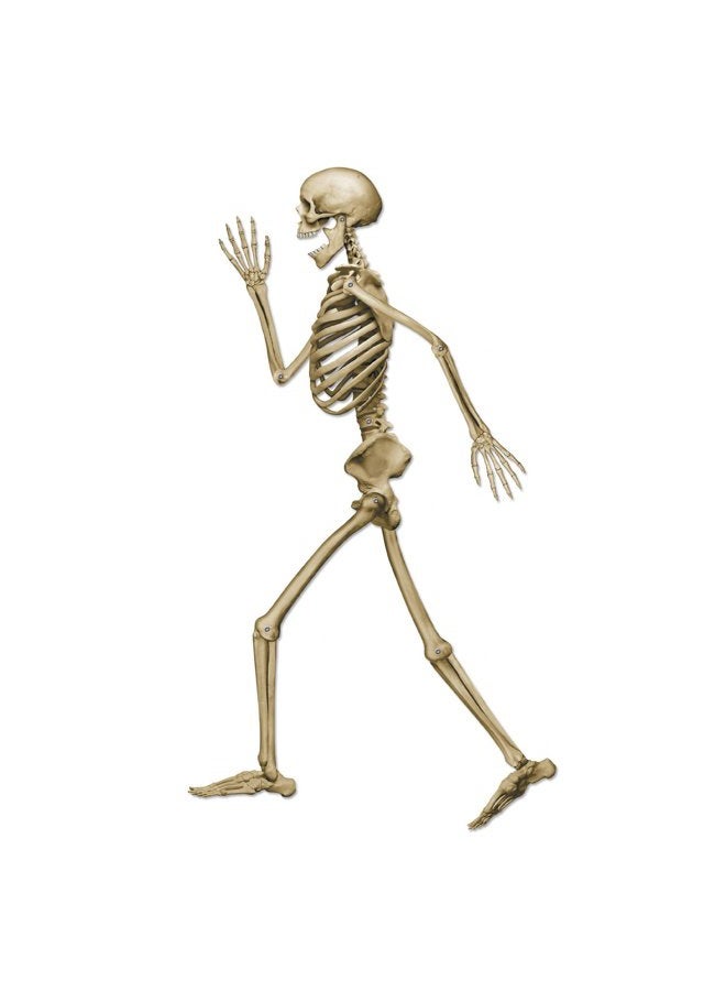 Beistle Profile Pete Jointed Skeleton Halloween Decorations, Pirate Party Supplies, 37", Off White/Black - Image 1