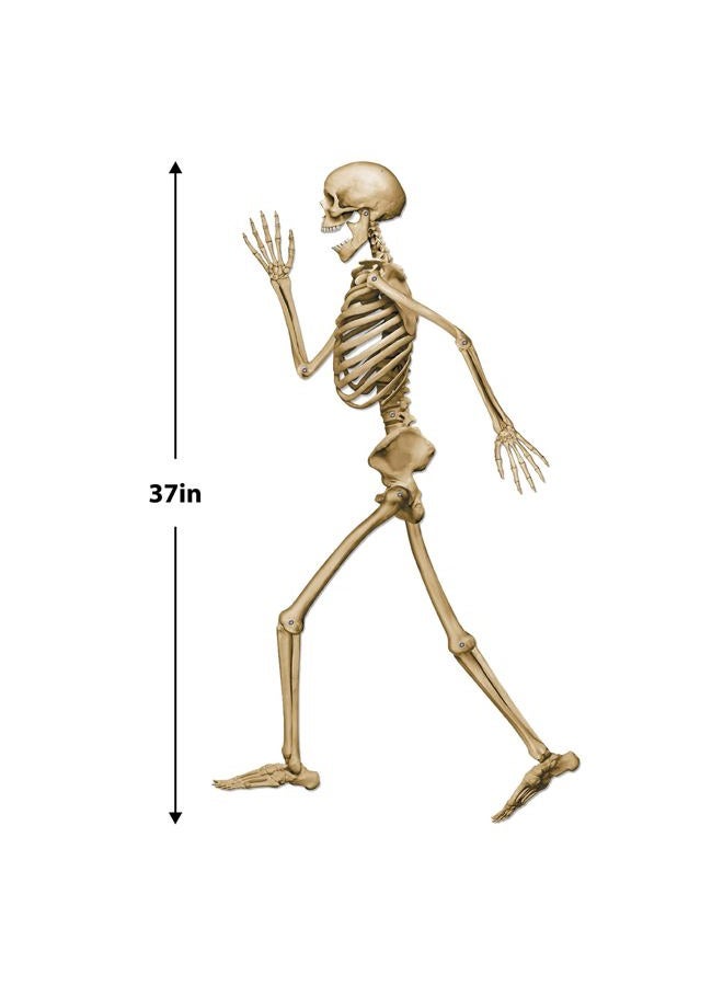 Beistle Profile Pete Jointed Skeleton Halloween Decorations, Pirate Party Supplies, 37", Off White/Black - Image 3