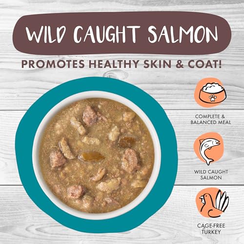 Weruva Classic Cat Stews!, Stew's Clues with Turkey, Chicken & Salmon in Gravy, 5.5oz Can (Pack of 8) - Image 3