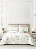 دوناتيلا white