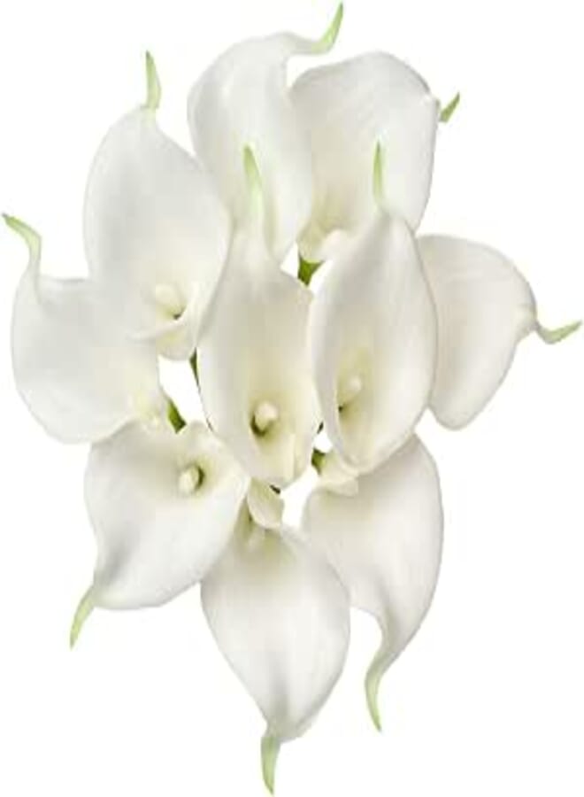 DILATATA Artificial White Lily Flowers 10 Pcs Real Touch 14" Faux Flower Arrangements Bridal Bouquet for Wedding Party Decor,Fake Flowers for Home Decor-White Flowers, Bendable Single Stem Lilies