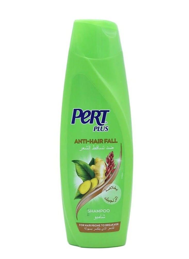 برت بلاس شامبو ضد تساقط الشعر بخلاصة الزنجبيل - 400 مل