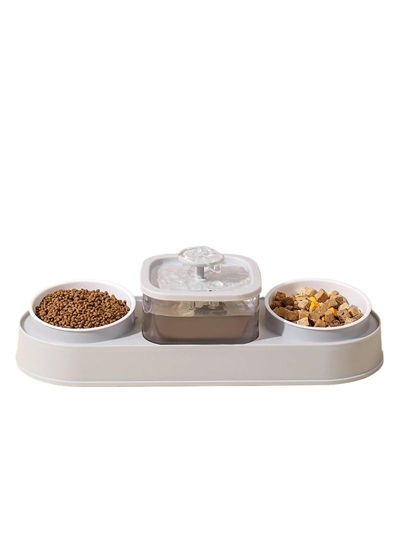 Double Bowl Elevating Pet Food Container With Automatic Water Fountain Feeder - Image 1
