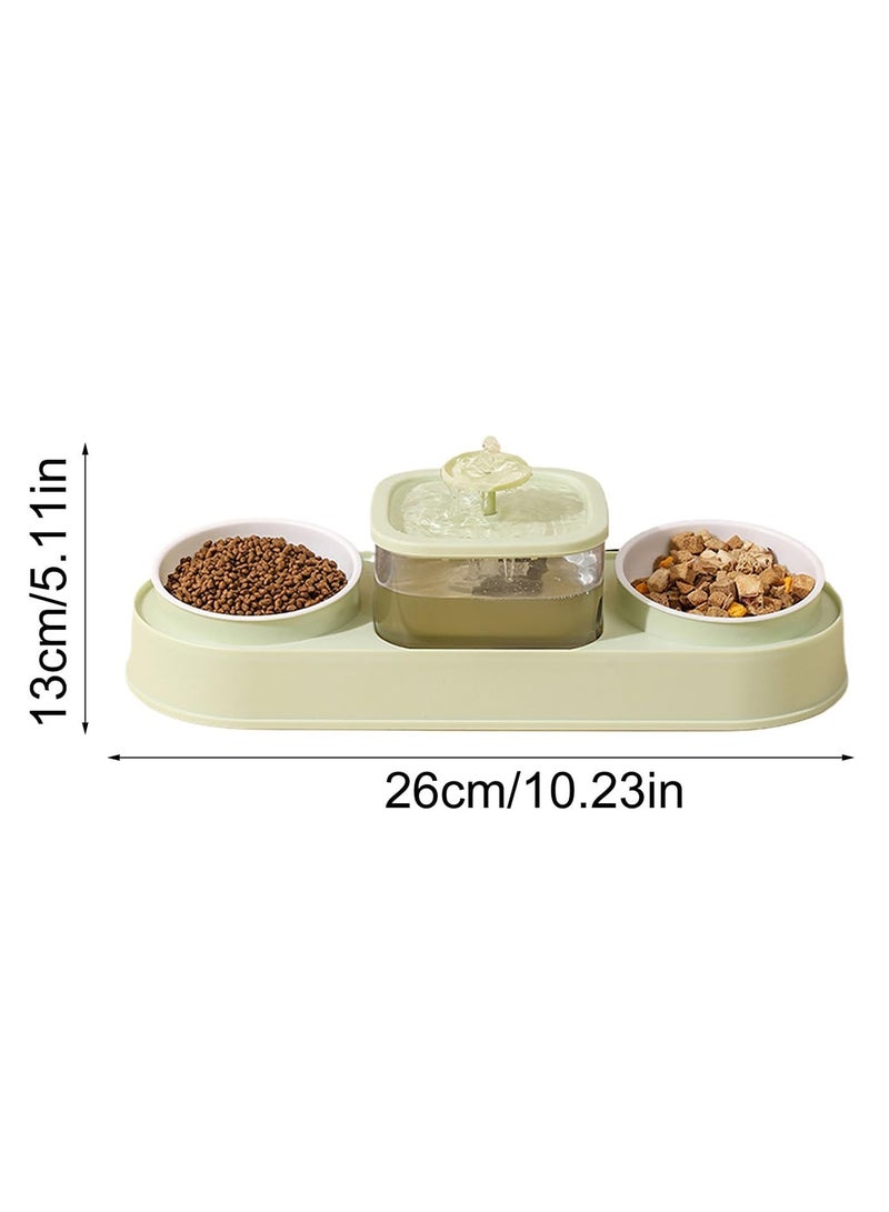 Double Bowl Elevating Pet Food Container With Automatic Water Fountain Feeder - Image 2