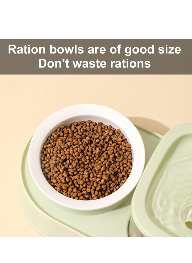 Double Bowl Elevating Pet Food Container With Automatic Water Fountain Feeder - Image 5