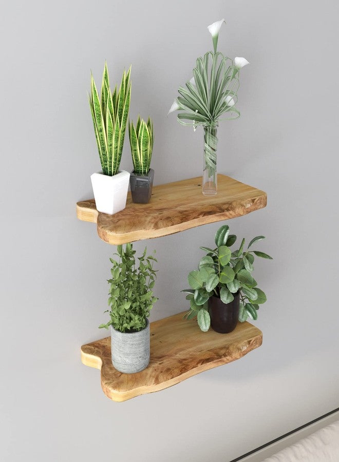 WELLAND 16” Cedar Natural Edge Floating Shelf Set of 2 - Image 5