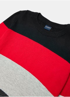 Crew Neck Long Sleeve Boy Tricot Sweater with Color Block - pzsku/Z16BFCD1E9EC68176EA51Z/45/_/1735652090/fb9b6b90-83f3-4321-9842-ae2015615ec6