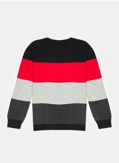 Crew Neck Long Sleeve Boy Tricot Sweater with Color Block - pzsku/Z16BFCD1E9EC68176EA51Z/45/_/1735652093/83fe01c5-85d5-4791-9025-99945a6301cd