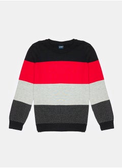 Crew Neck Long Sleeve Boy Tricot Sweater with Color Block - pzsku/Z16BFCD1E9EC68176EA51Z/45/_/1735652101/12dfbac2-7693-4dca-bd37-8f1c15c4d715