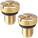Amavoler Radiator Coolant Expansion Tank Bleeder Screw Fit for BMW X1 X3 E46 E92 E90 E36 E39 Mini Cooper OEM 17111712788 2 Pcs - Image 2