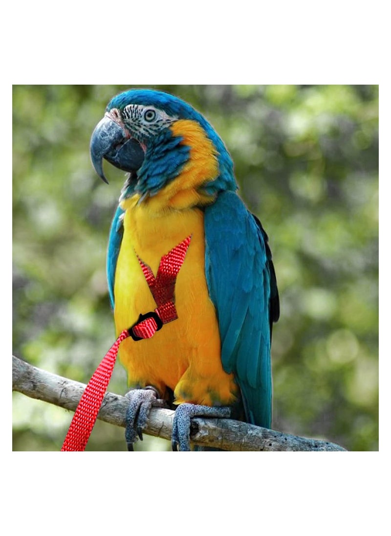 Adjustable Pet Bird Leash for Outdoor Walking Perfect for Parrots Alexandrine Scarlet Keck Mini Macaw Other Similar Size Birds - pzsku/Z16C024857DB63D339623Z/45/_/1722176826/f224b92e-f482-4738-8ddb-6f13ff788d6e