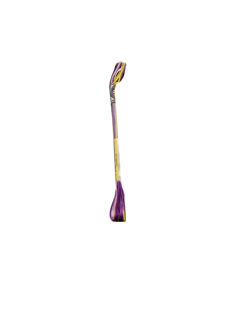 DMC DMC Color Variations 6 Strand Embroidery Floss 8.7 yard Purple Pansy  - Image 2