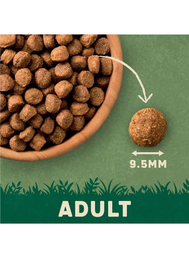 Harringtons Complete Lamb & Rice Adult Dry Dog Food 15KG - Image 3