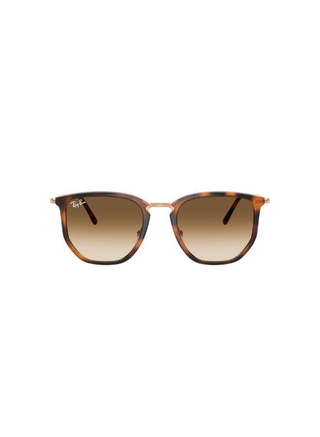 Ray-Ban 0Rb4451 Irregular Sunglasses - Image 2