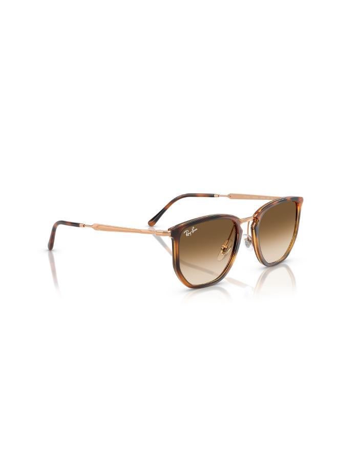 Ray-Ban 0Rb4451 Irregular Sunglasses - Image 3