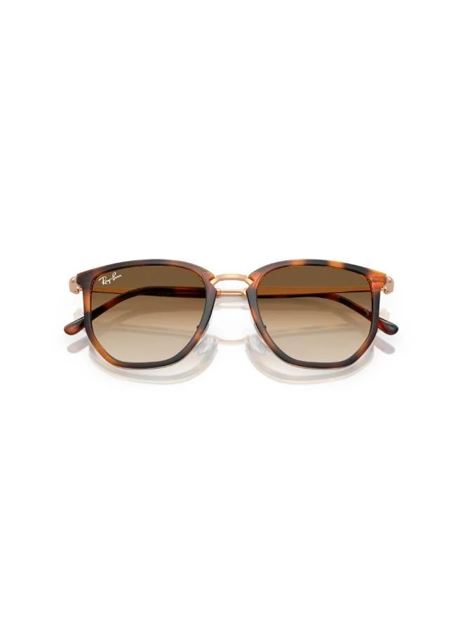 Ray-Ban 0Rb4451 Irregular Sunglasses