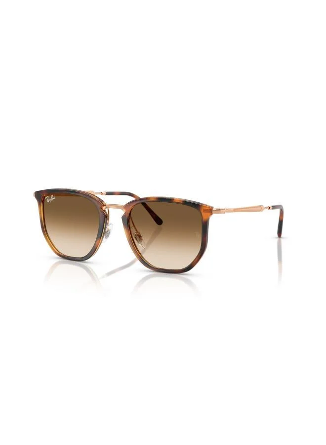 Ray-Ban 0Rb4451 Irregular Sunglasses