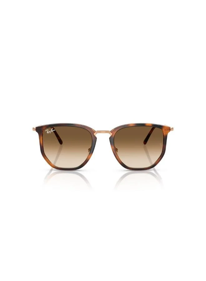 Ray-Ban 0Rb4451 Irregular Sunglasses