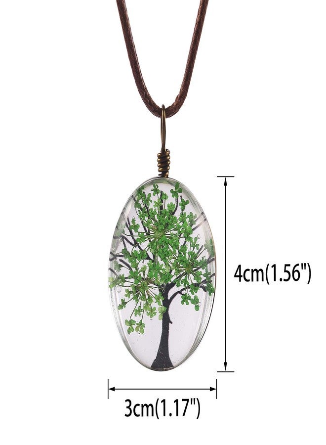 اف ام اف ام42 قلادة بيضاوية الشكل من زهور الدانتيل الملكة آن المجففة، من تصميم FM FM42 Green Life of Tree، رقم الموديل FN4072 - Image 3