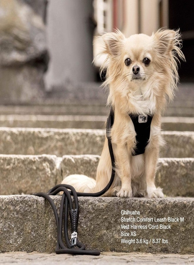 Curli Stretch Comfort Leash for Dogs Size: Large Color:Black - Image 4