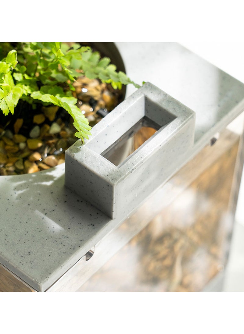 Generic Aquarium fish tank mini with planting  - Image 2