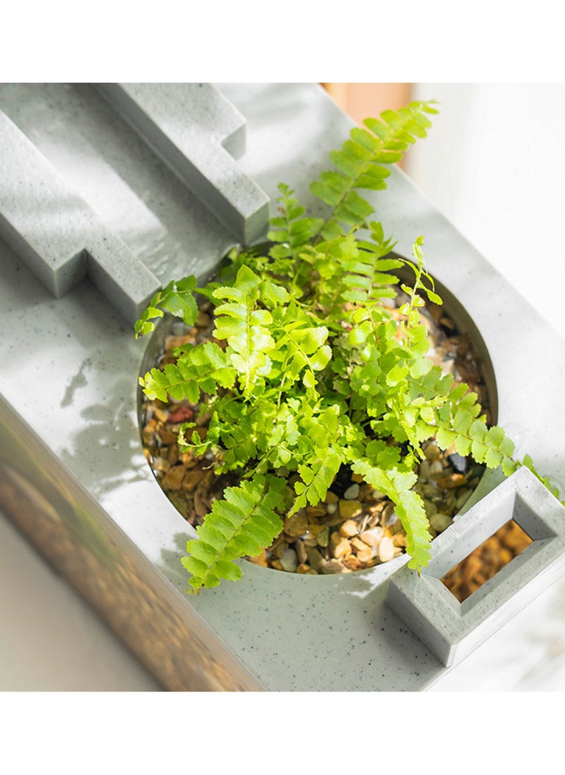 Generic Aquarium fish tank mini with planting  - Image 4
