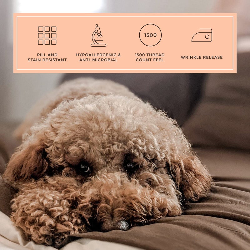 PeachSkinSheets PeachSkinSheets Chocolate Sheet Set - 1500tc Level of Softness - Extra Soft Cooling Sheets for Hot Sleepers and Night Sweats - XL Full Size  - Image 4