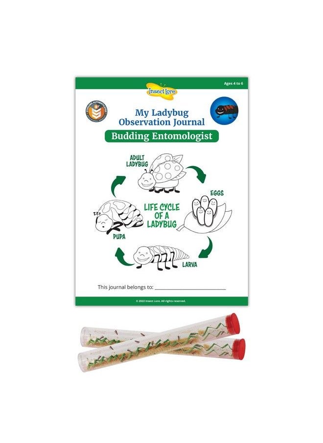 Insect Lore - Stem Ladybug Activity Journal With Two Tubes Of Ladybug Larvae - Image 1