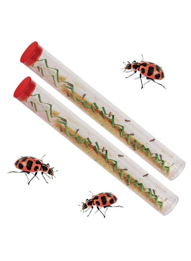 Insect Lore - Stem Ladybug Activity Journal With Two Tubes Of Ladybug Larvae - Image 1