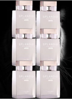 6 Pieces Splandid White Perfume 100ml EDP