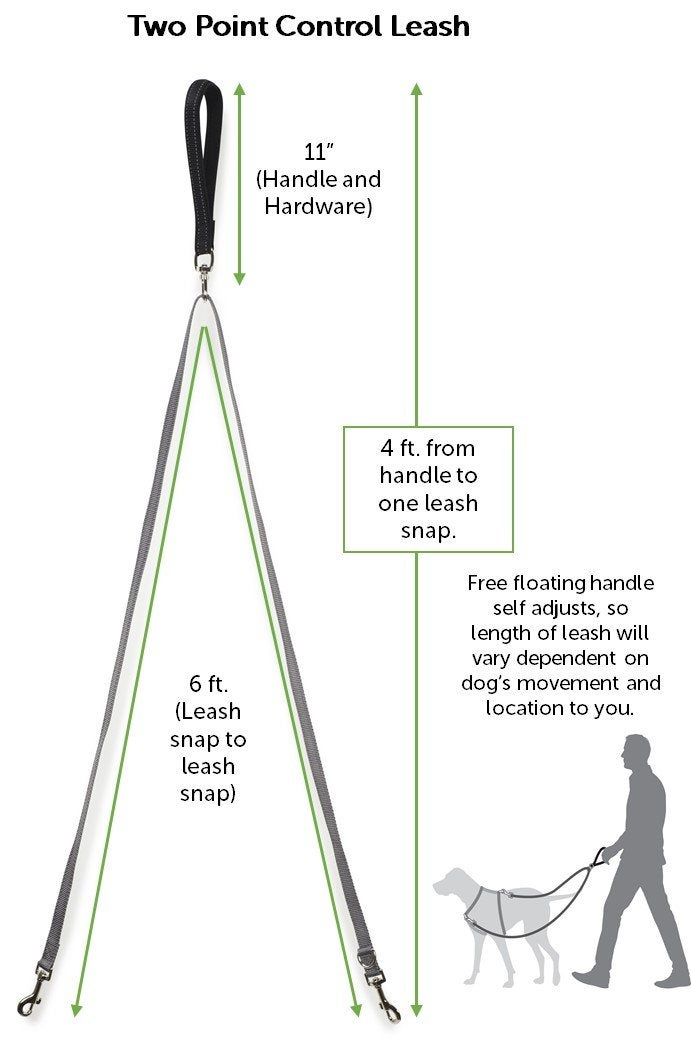 PetSafe Two Point Control Leash, Padded and Reflective Nylon, Converts to Single Leash, Works with 3in1 Harnesses, 3/4 in. Wide - Image 3