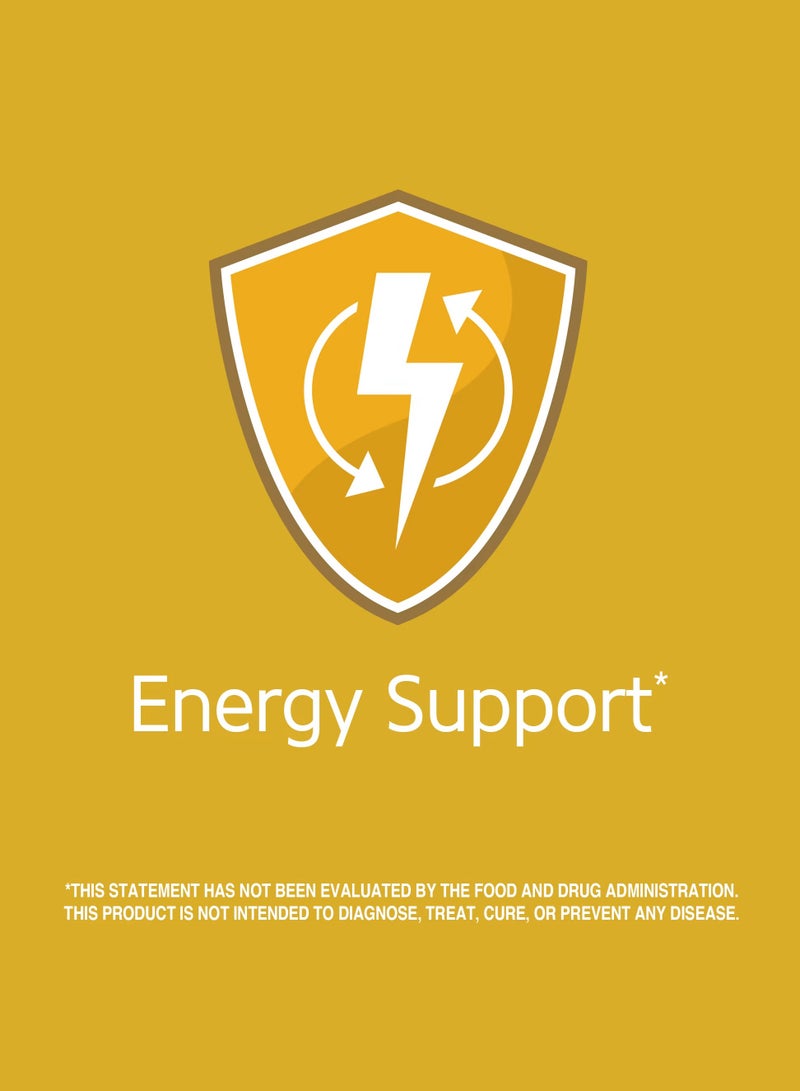 القرن الحادي والعشرون مكمل غذائي فيتامينB-12 بتركيز 500 ملجم  110 قرص - Image 4