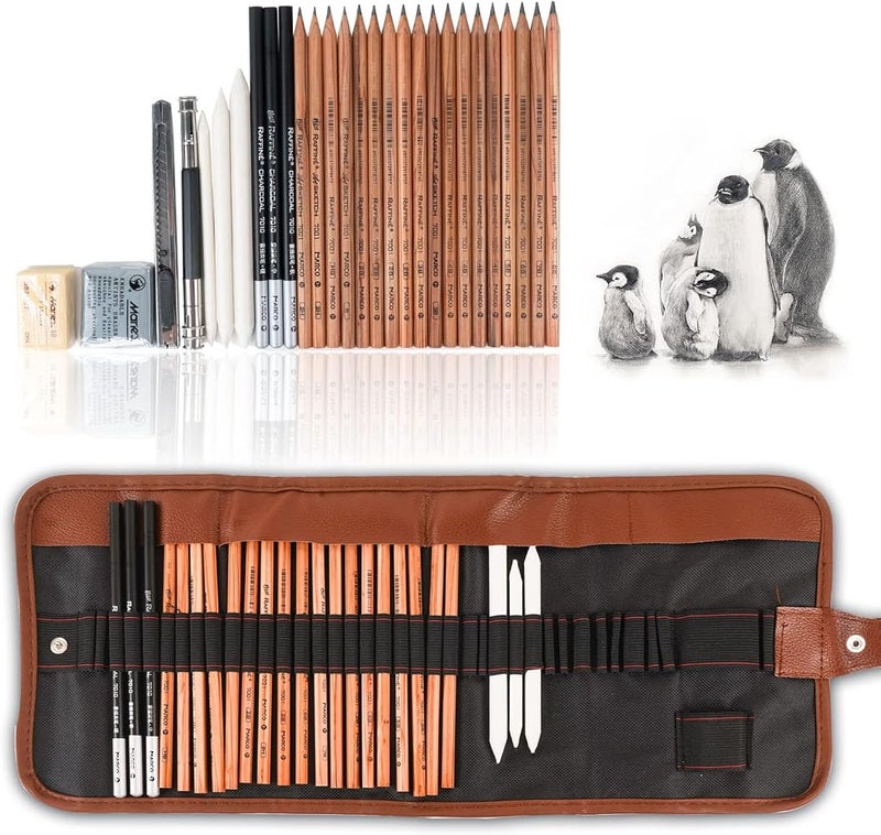 BIGTHREE Professional Sketching Drawing Art Tool Kit, 29 Pack Sketching Pencil Set, Includes Graphite Pencils, Charcoal Pencils, Paper Erasable Pen, Sketch Pencils Set for Drawing for Kids Adults - Image 1
