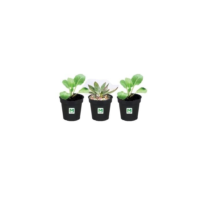 MyOwnGarden Seedling Pots 2 inch Black Plastic Nursery Pot, Small Planter Starting Pots with Drainage Holes, Strong Nursery Pots for Starting Transplanting Plants (100) - Image 4
